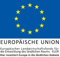 EULogoHieriInvestiert_zentriert