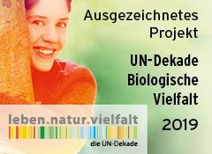 logo_2019reg_UN-Dekade_Logo-240x175px
